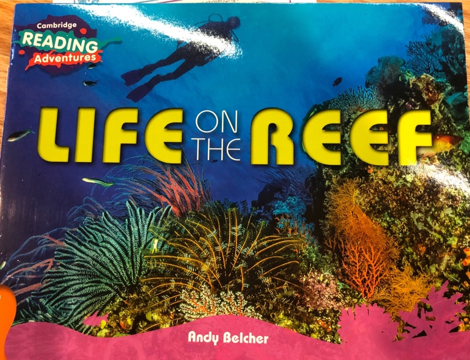 Life on the reef