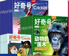 好奇號2024年 (12冊)
