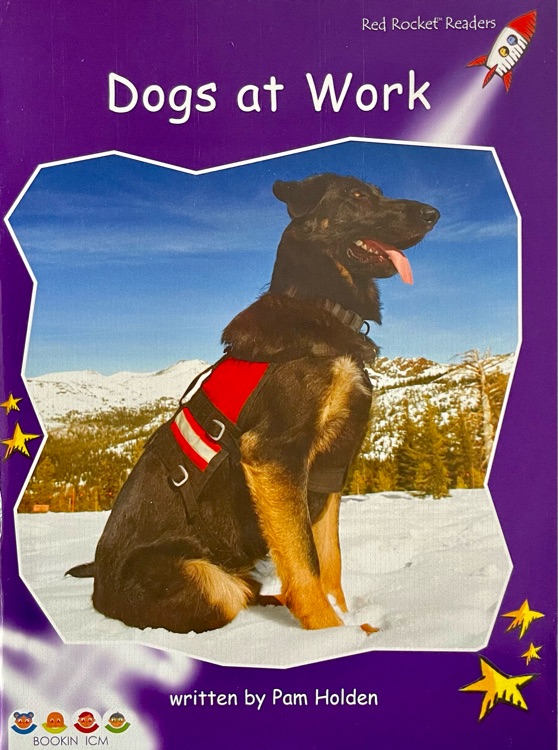 Dogs at work (Red Rocket Readers: Fluency Level 3: Purple)