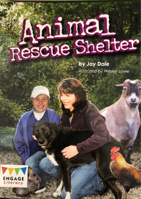 Animal Rescue Shelter