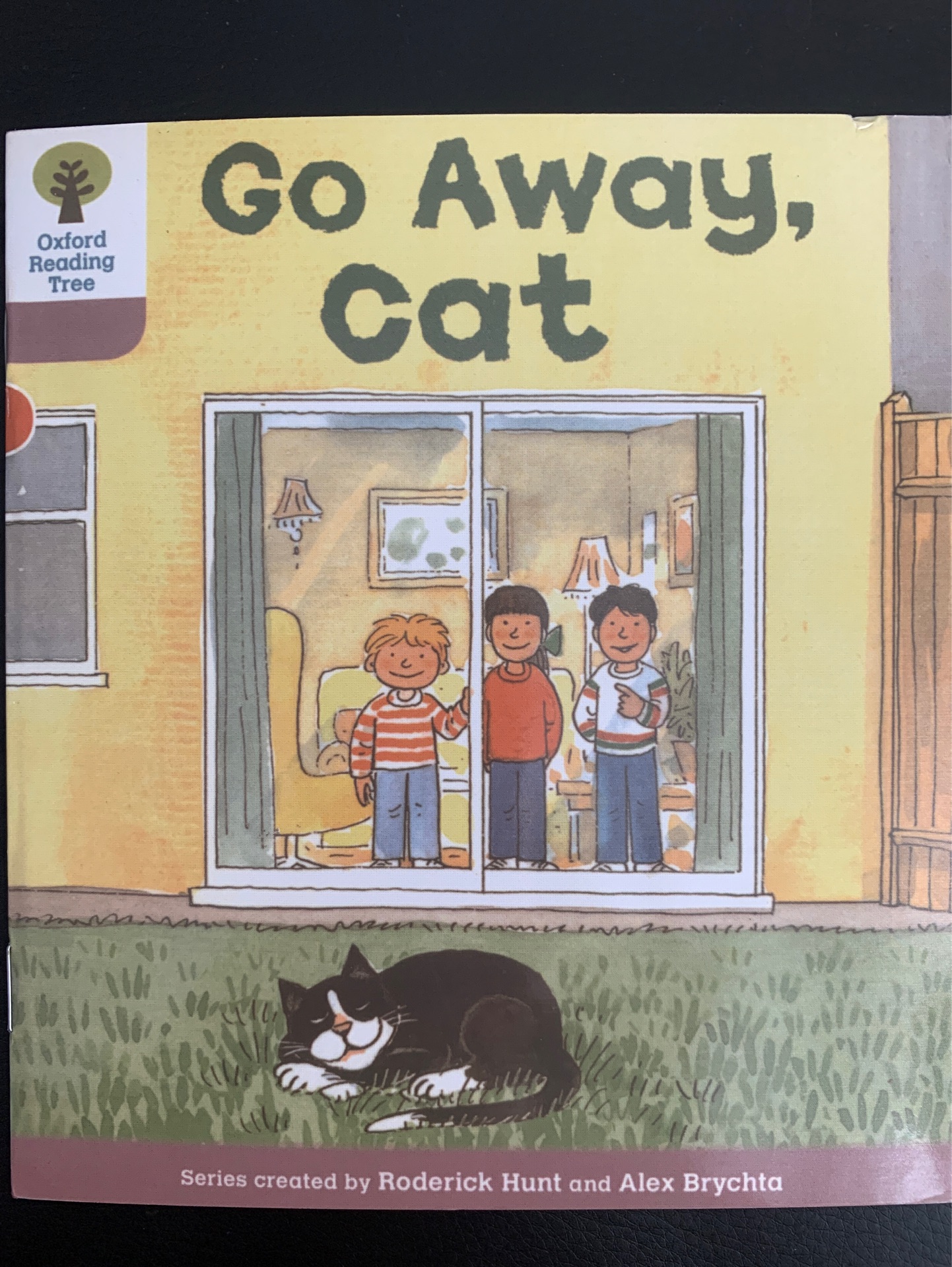 Oxford Reading Tree 1-48: Go away, cat