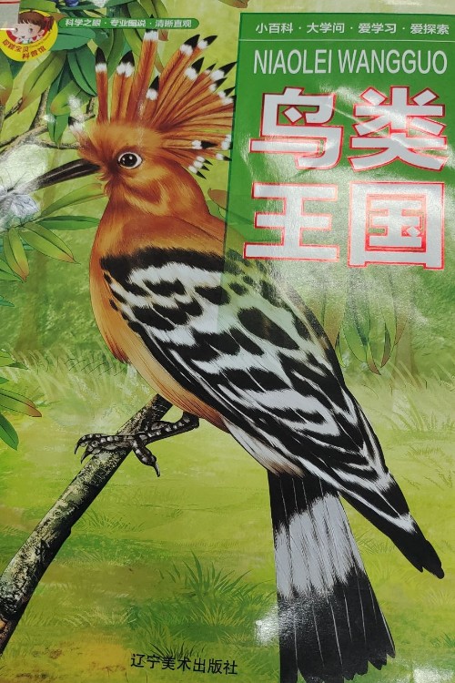 聰穎寶貝科普館.鳥(niǎo)類(lèi)王國(guó) [3-6歲]