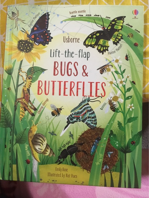 Bugs&Butterfly(Usborne Lift-the-flap)