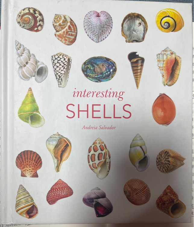 Interesting Shells