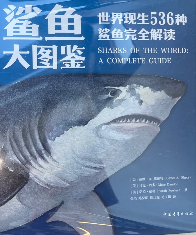 鯊魚大圖鑒