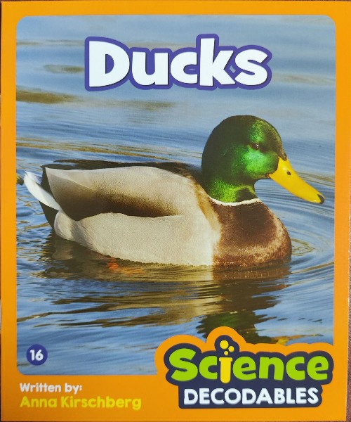 Ducks