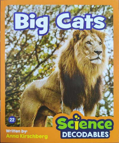 Junior解碼NF 2-22 Big Cats