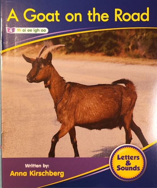 Junior解碼NF 3-04 A Goat on the Road