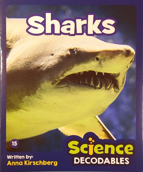 Junior解碼NF 3-15 Sharks