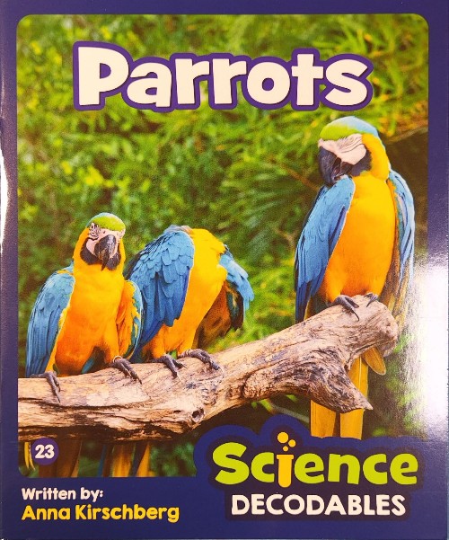 Junior解碼NF 3-23 Parrots