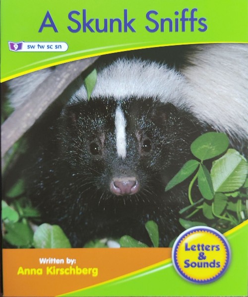 A Skunk Sniffs