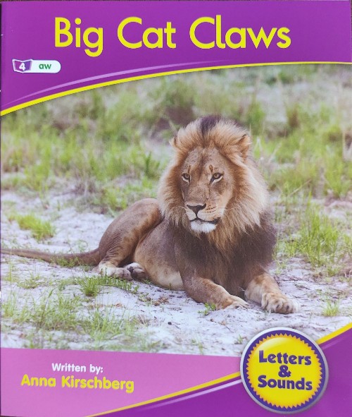 Big Cat Claws