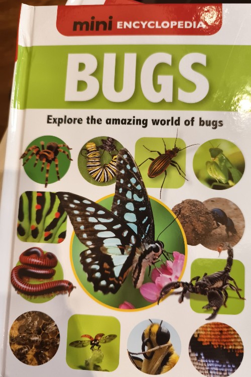 bugs
