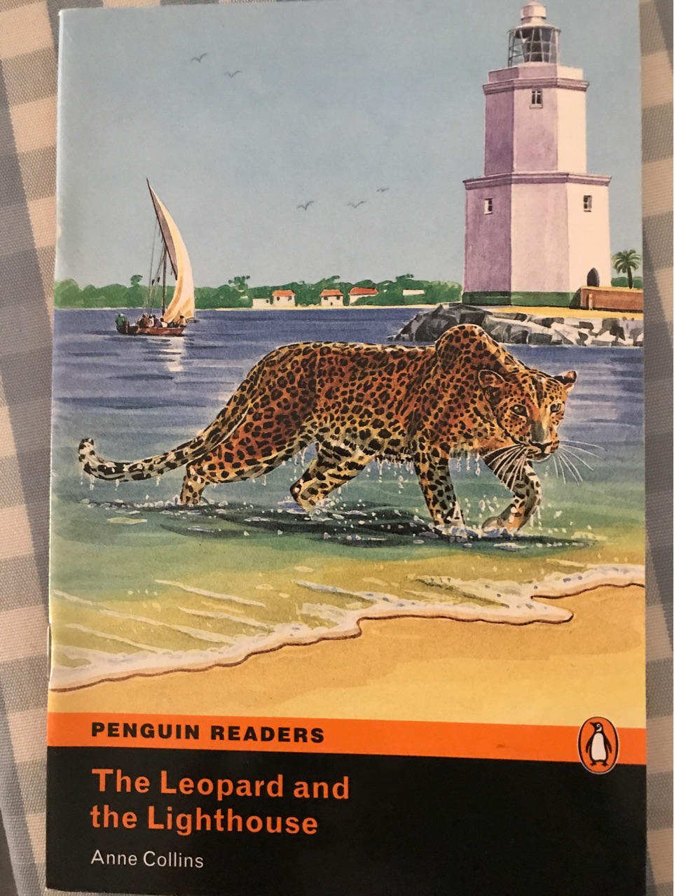 The Leopard and the Lighthouse