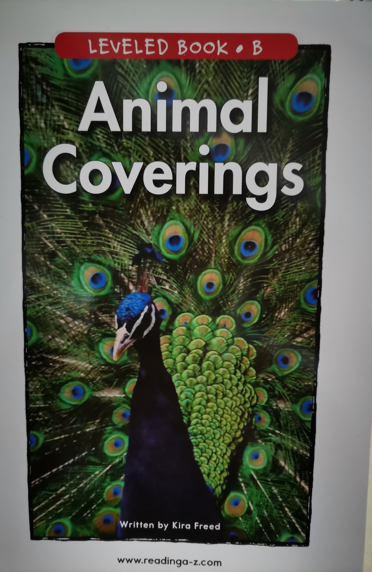 Animal Coverings