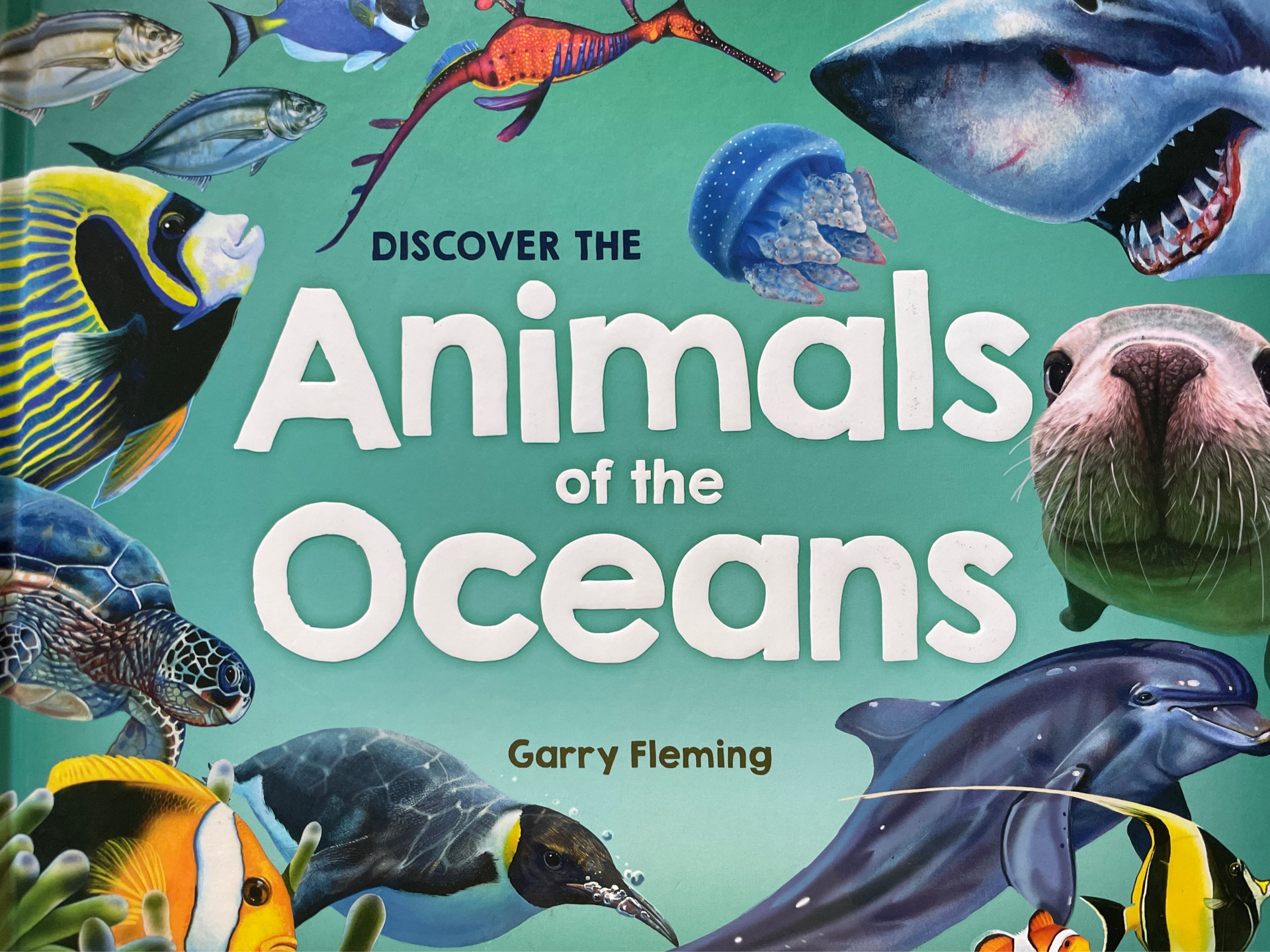 Discover the animals of the ocean