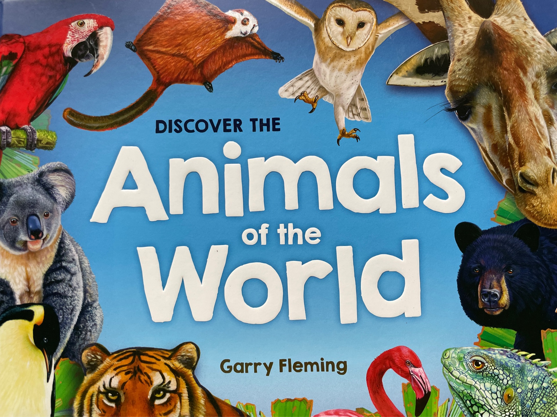 Discover the animals of the world