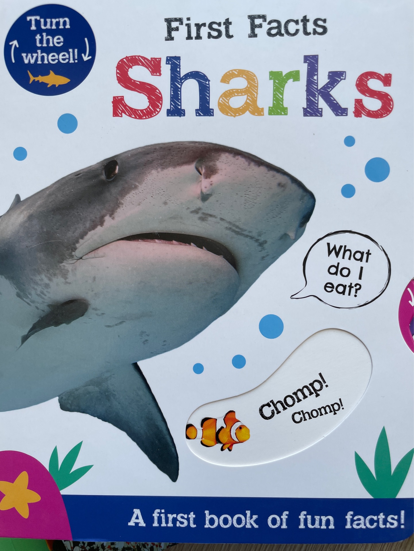 First facts sharks