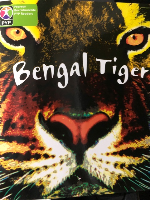 Bengal Tiger