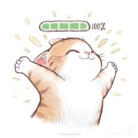 裙带菜宝宝