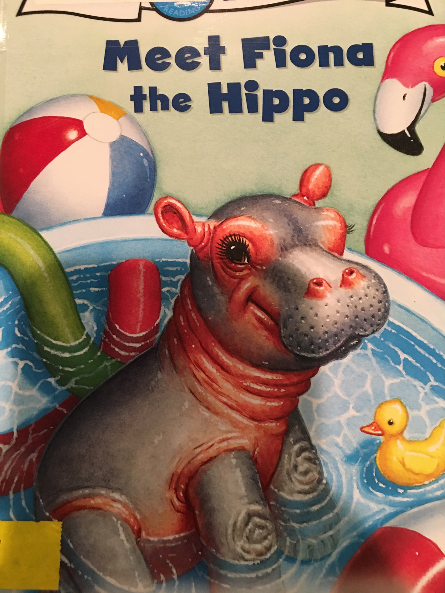 Meet Fiona the Hippo