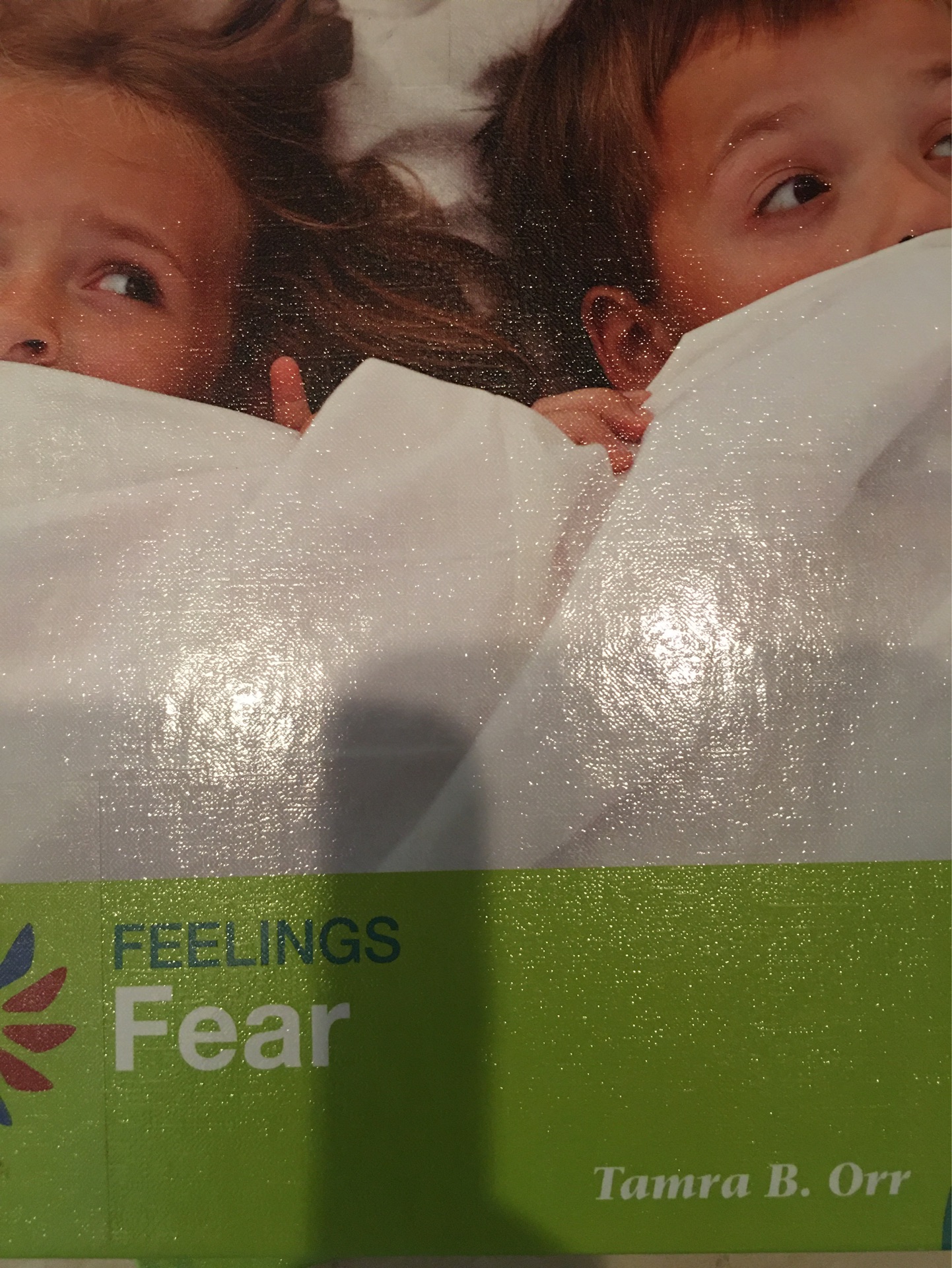 Feeling Fear