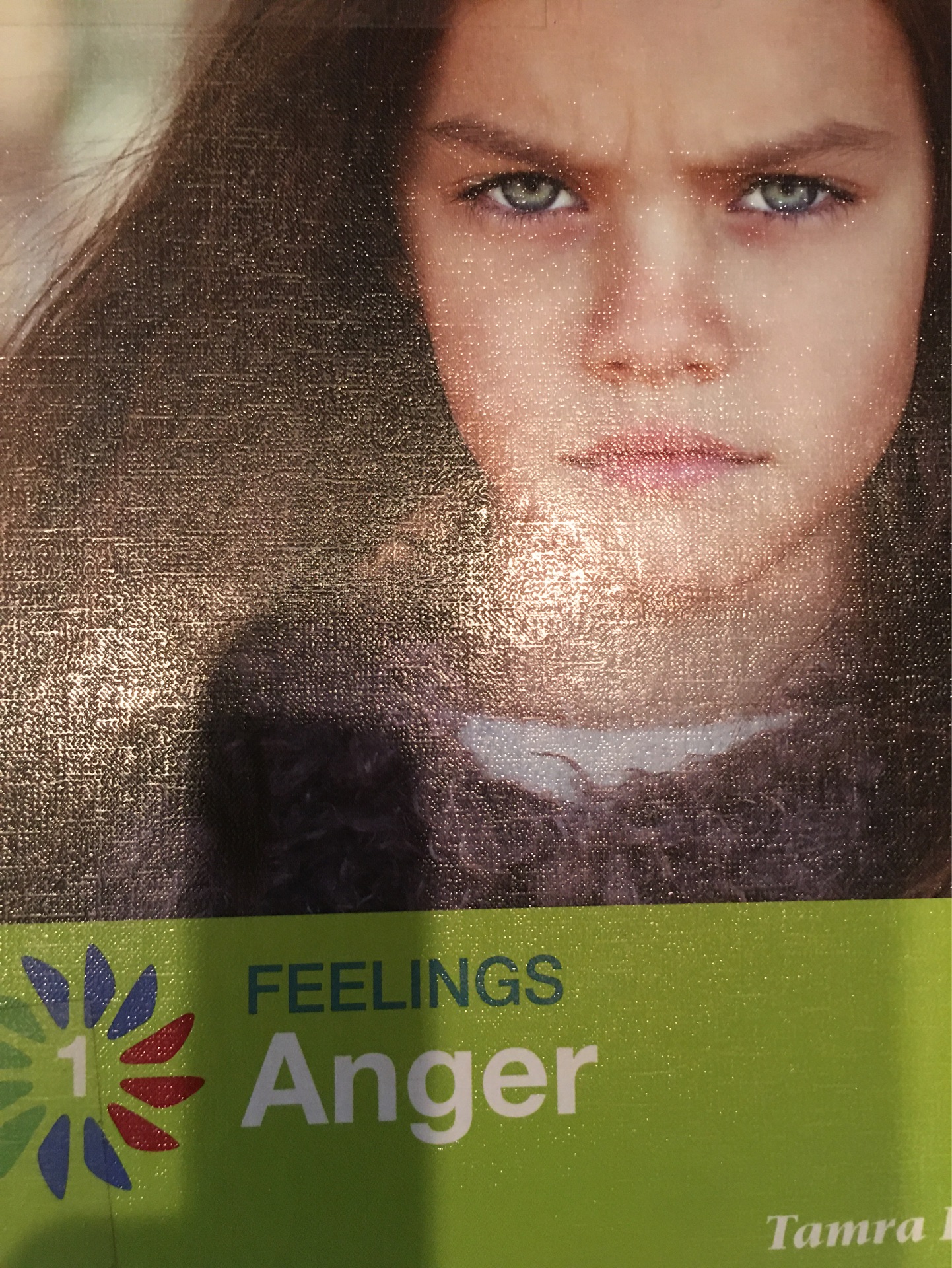 Feeling Anger