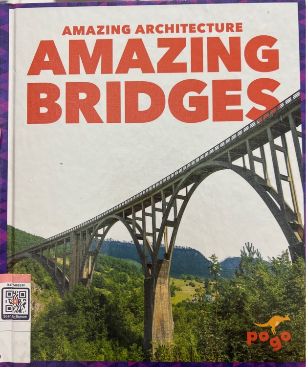 Amazing bridges