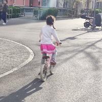 Tracy的甜蜜世界