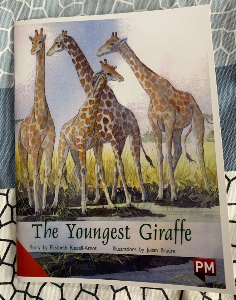 The Youngest Giraffe