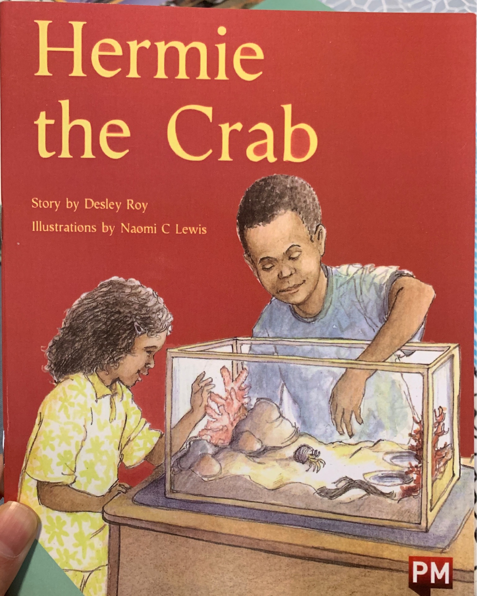 Hermie the Crab