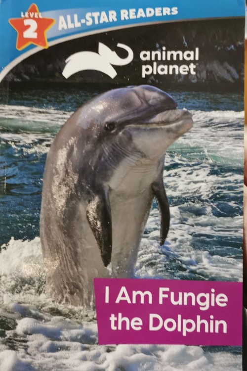 I am Fungie the Dolphin