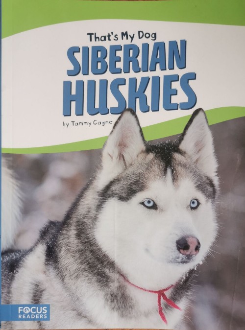 That's my dog: Siberian huskies