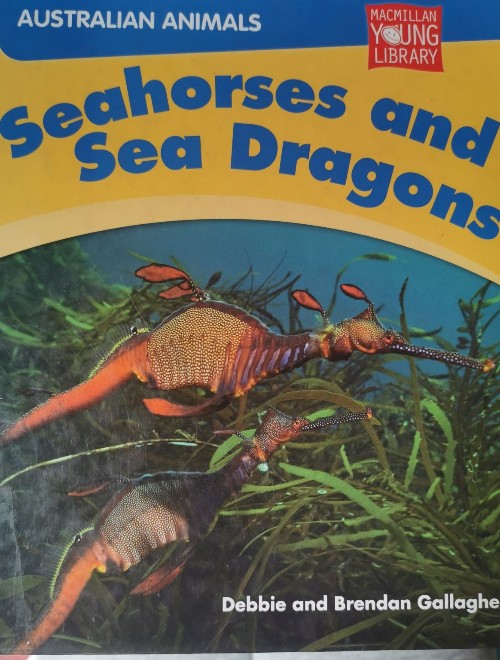 Seahorses and Sea Dragons