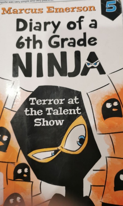 diary of a 6th grade ninja