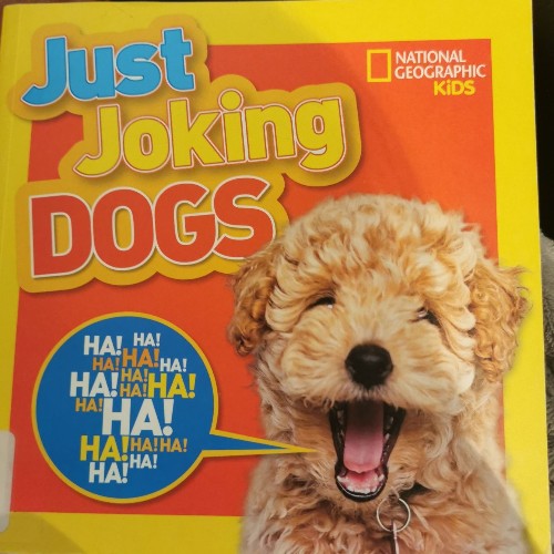 Just joking dogs