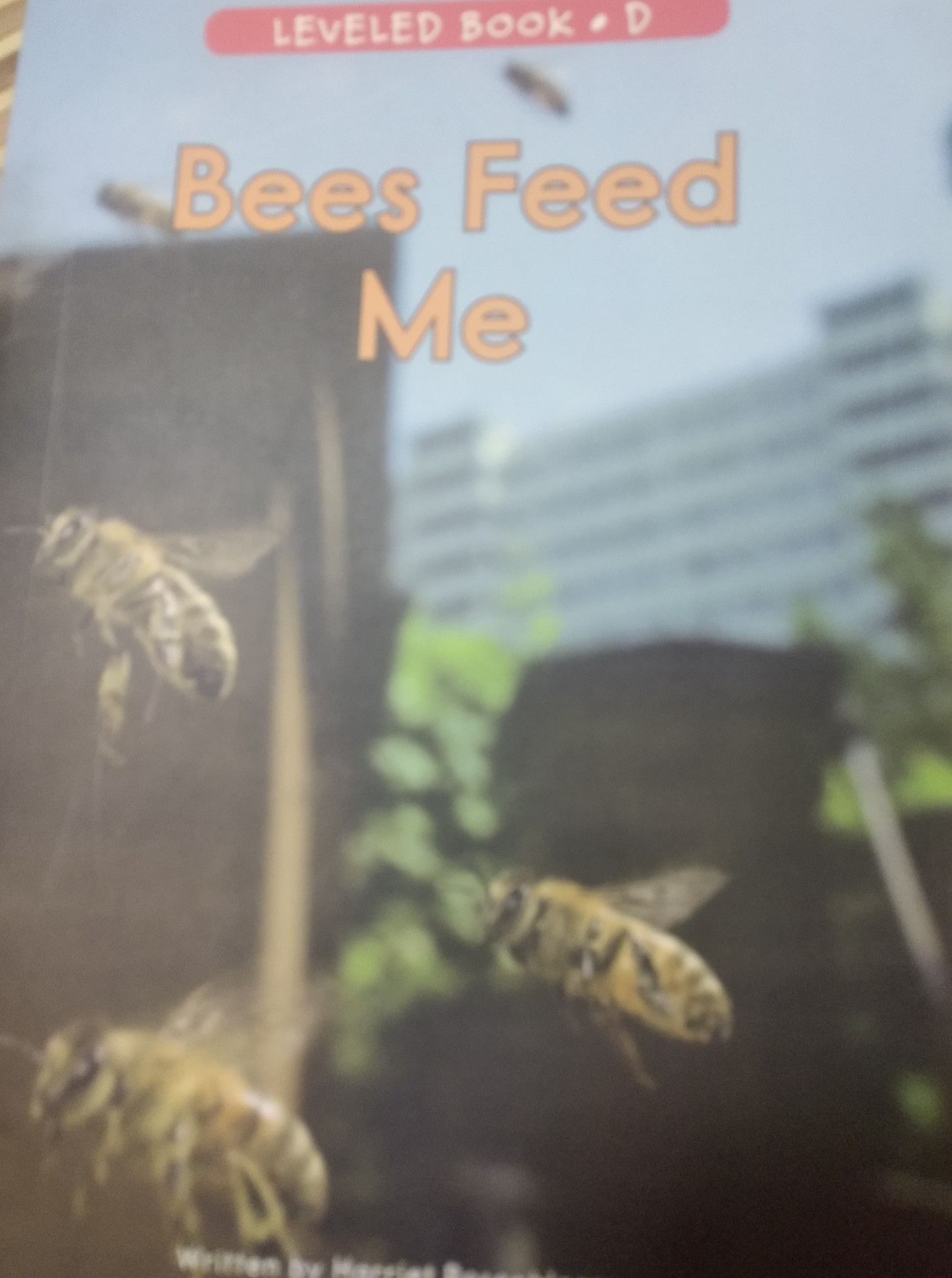 Bees food me