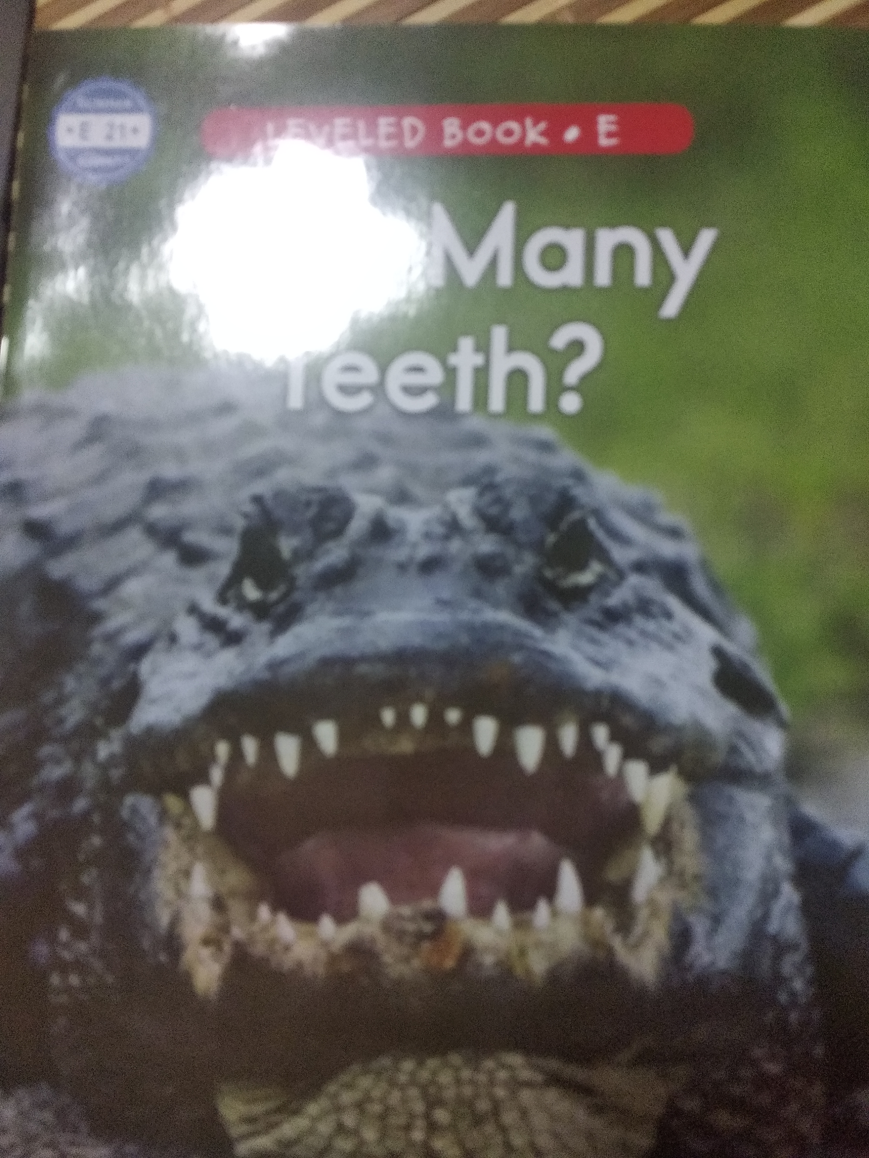 How many teeth