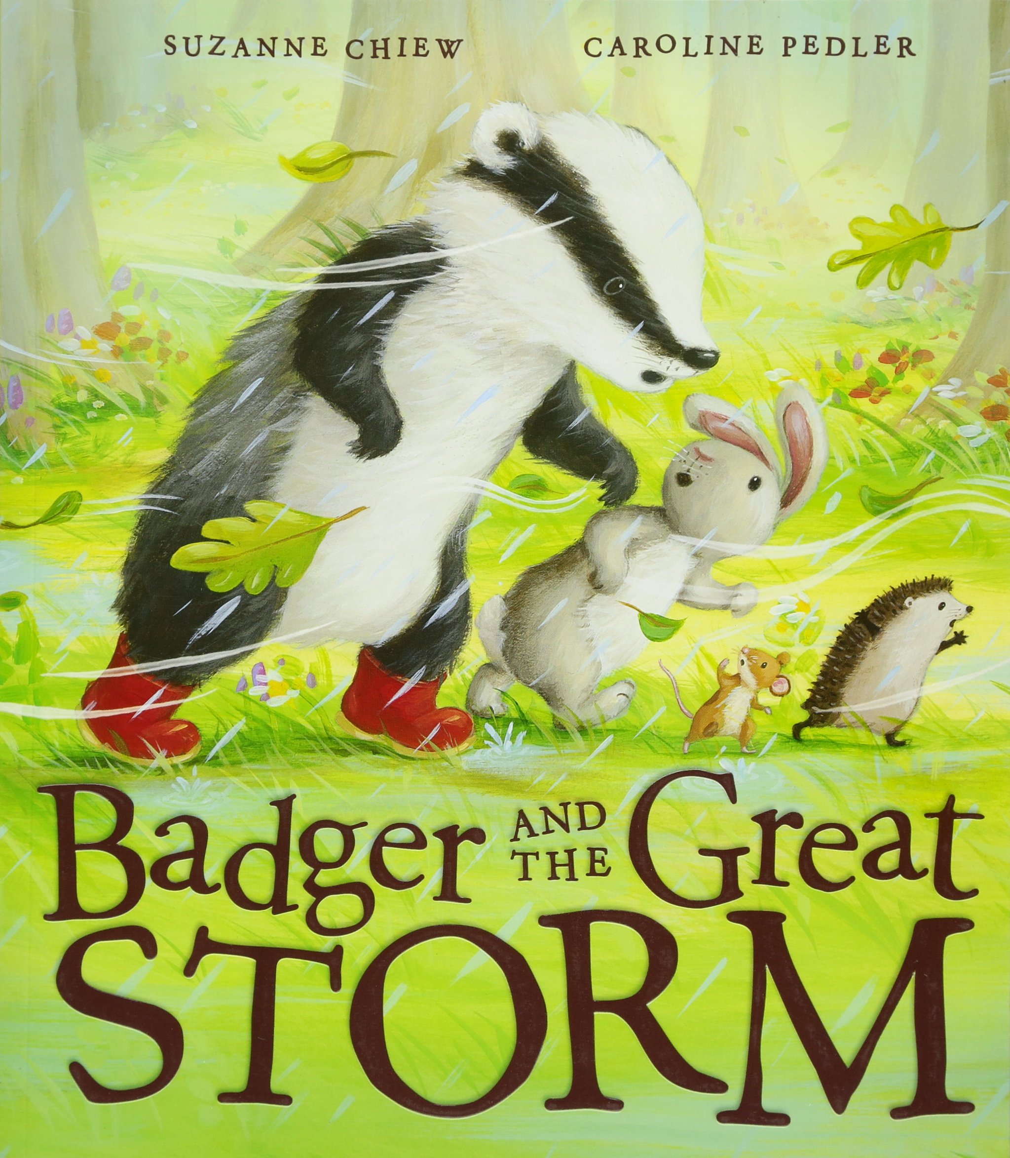 Badger and the great Storm