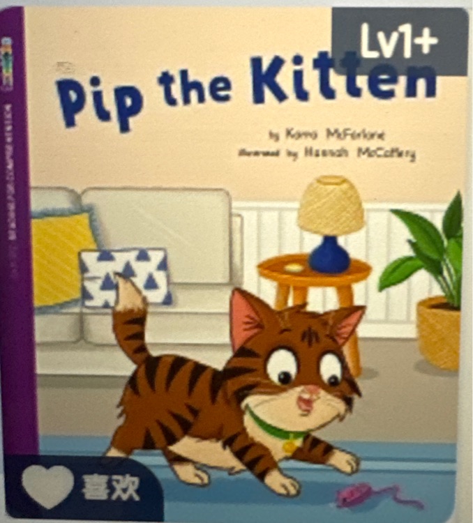 tip the kitten