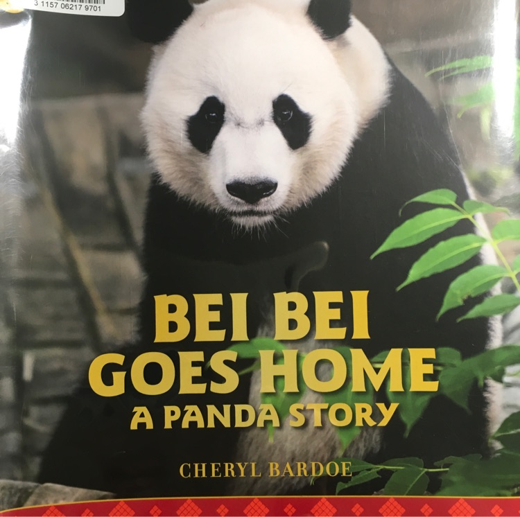 Bei bei goes home a panda story