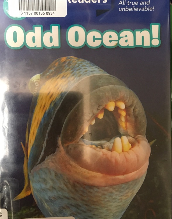 Odd ocean