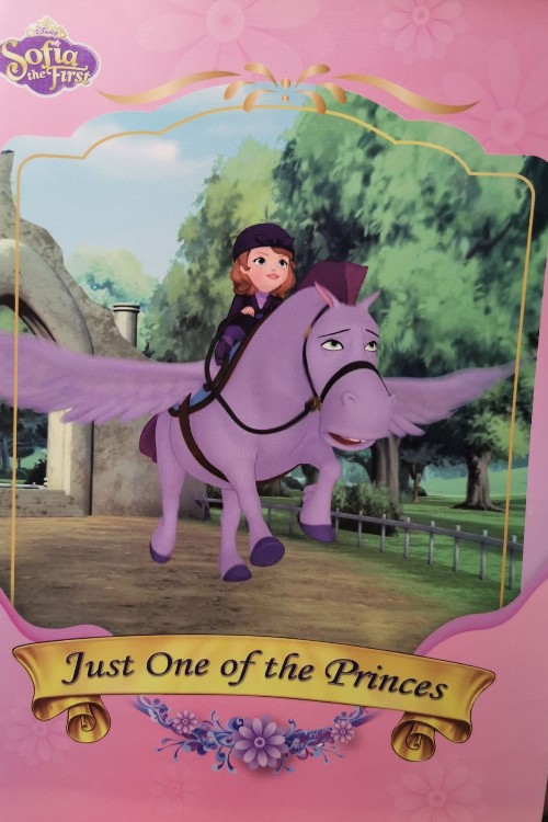 Sofia the First:  Just One of the Princes