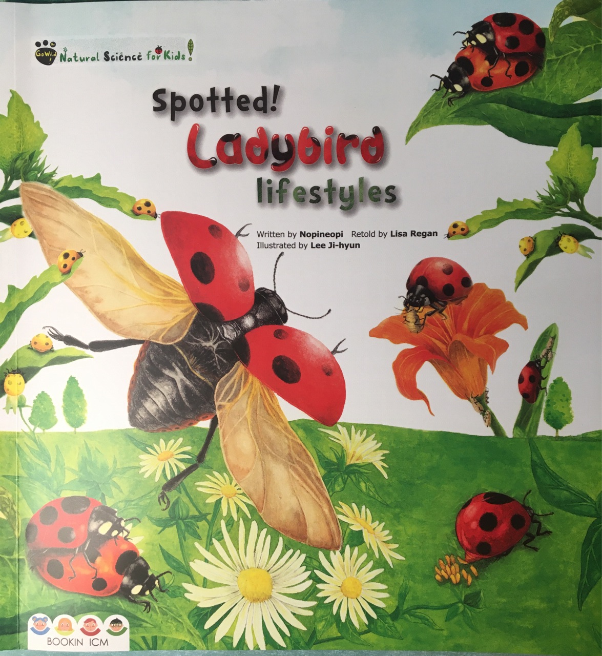 spotted ladybird lifestyle