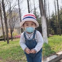 檸檬派baby