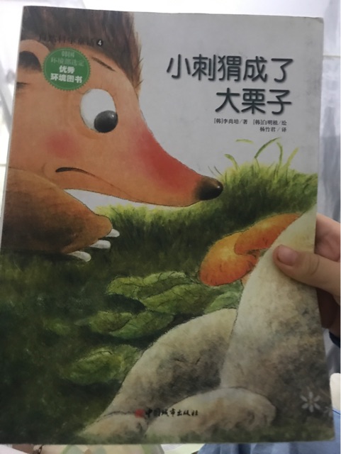 小刺猬成了大栗子