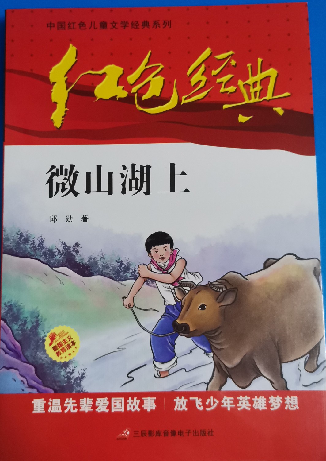 紅色經典—微山湖上 中國紅色兒童文學經典系列 小學生四五六年級課外書 少年勵志紅色經典書籍故事書 革命傳統(tǒng)教育讀本愛國