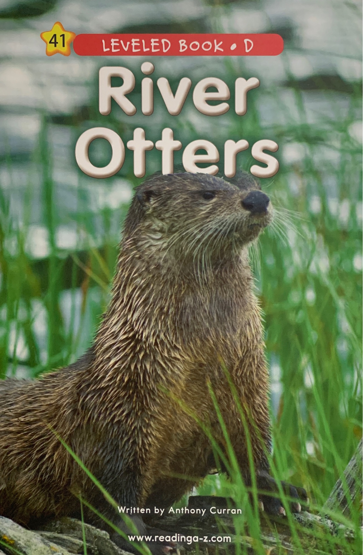 Raz D 41:River Otters