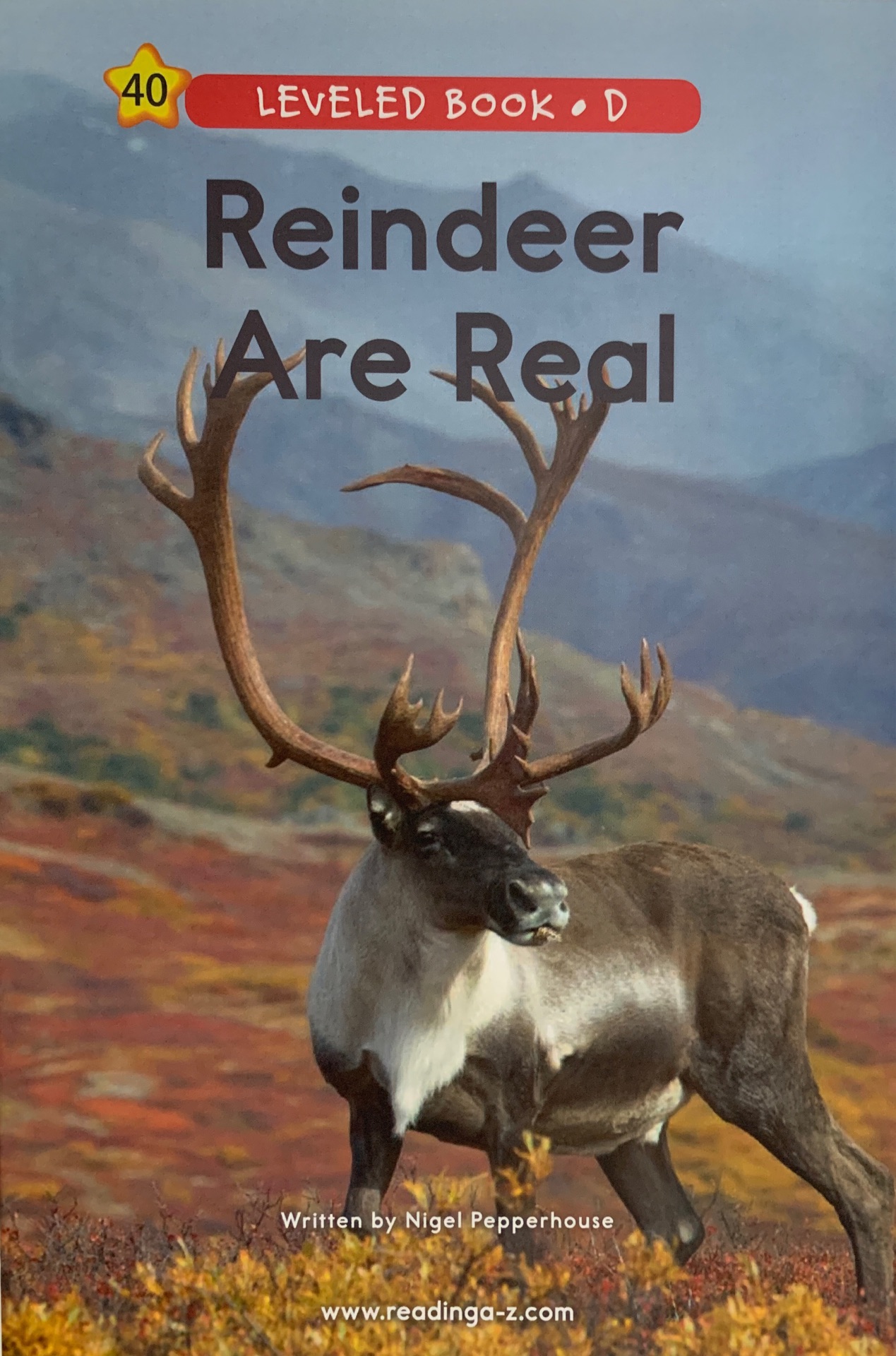 Raz D 40:Reindeer Are Real