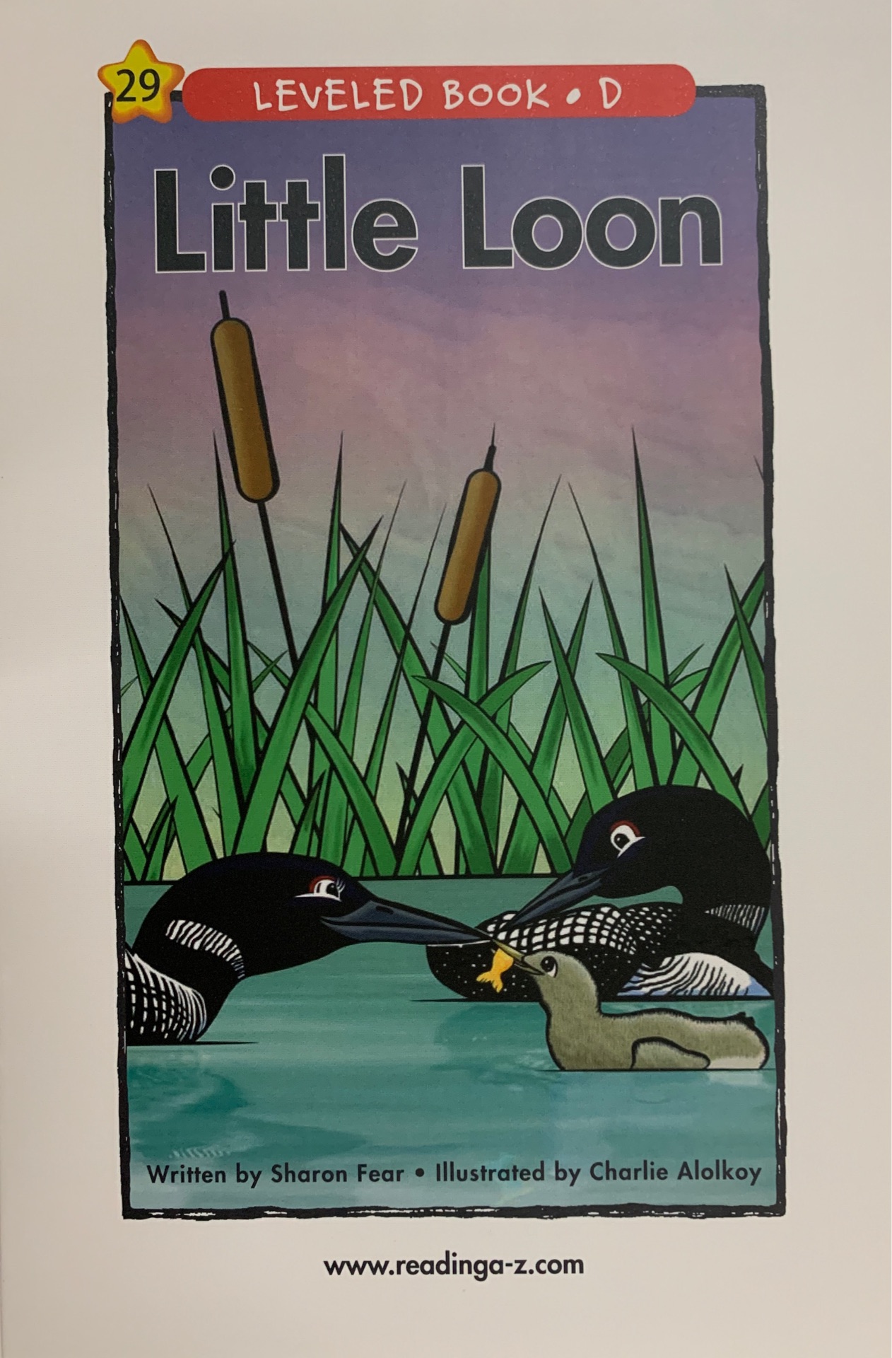 Raz D 29:Little Loon